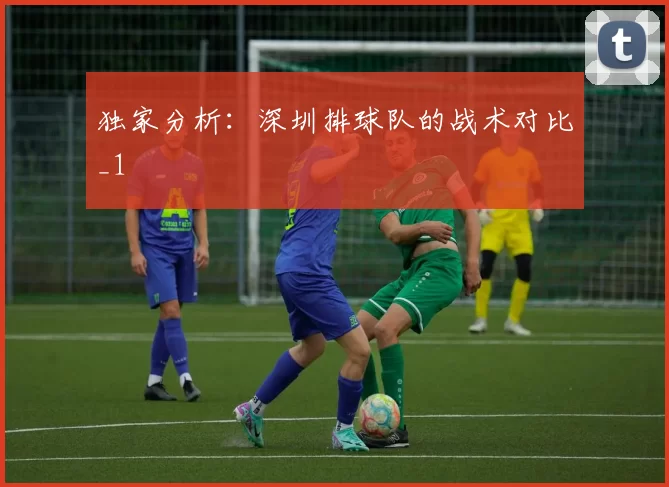 独家分析：深圳排球队的战术对比_1