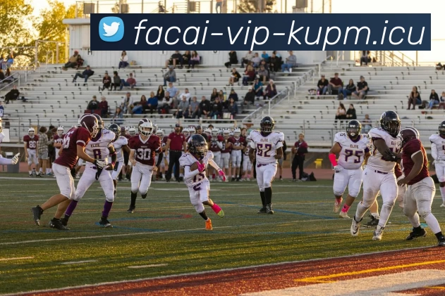 爱游戏体育发展历程